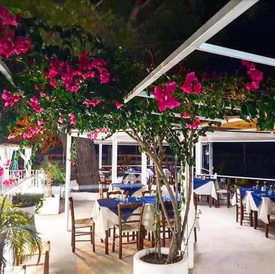 Miramare Bed&Food - Free Parking & Wifi Bed & Breakfast San Nicola Arcella Exterior foto